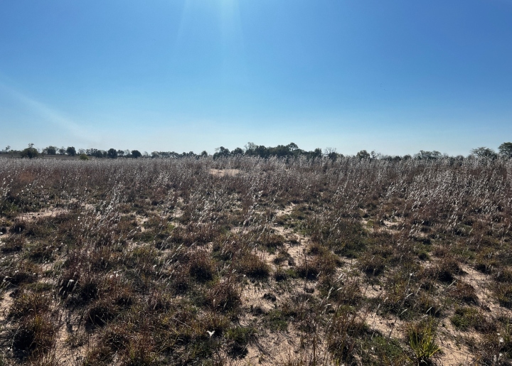 Sand Prairie